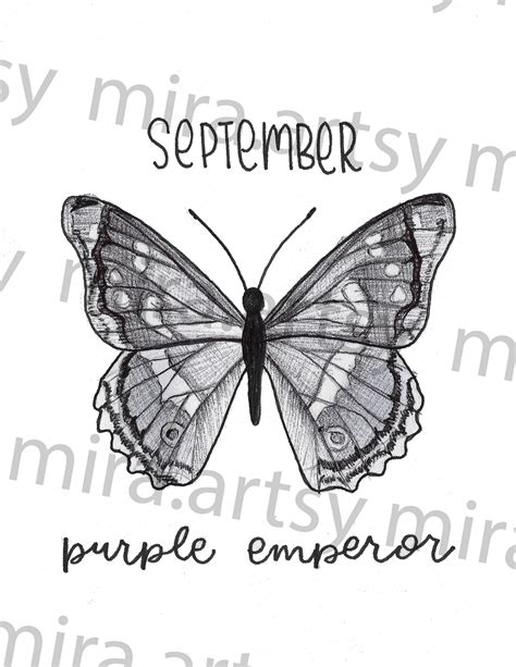 September Birth Month Butterfly Scan Purple Emperor Etsy Uk