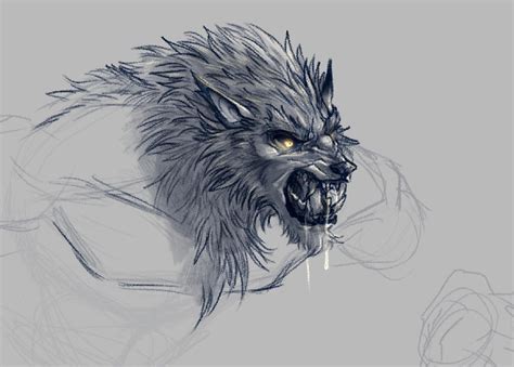 Werewolf Sketch By Kokotiger13 On Deviantart