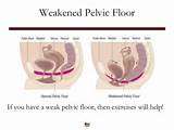 Other Pelvic Floor Exercises Pictures