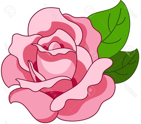 Rose Cartoon Beautiful Illustration With Pink Rose Flower Isolated