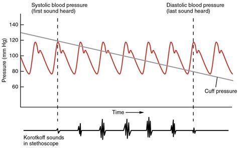 Clinical Techniques Assessment Of Vital Signs A Mixed Course Based