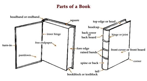 Book Anatomy Parts Of A Book And Definitions Ibookbinding