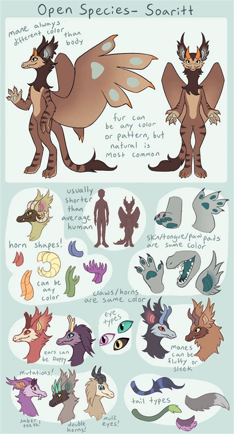 Made An Inforeference Sheet For My Open Species Soaritts Rfurry