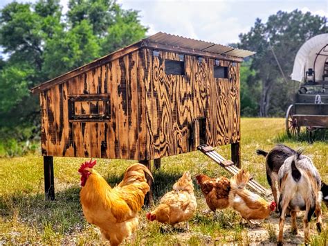 Making a small coop | BackYard Chickens - Learn How to Raise Chickens
