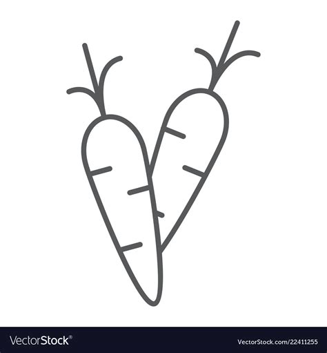 Carrot Thin Line Icon Food And Vegetable Vector Image