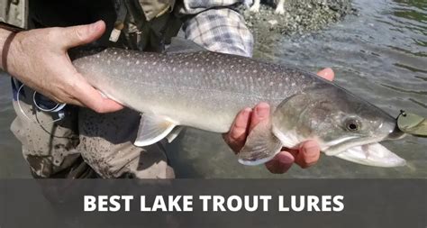 Best Lures For Lake Trout For All Techniques