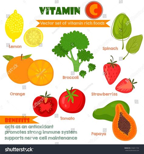 Vitamins Minerals Foods Illustrator Set 1vector เวกเตอร์สต็อก ปลอดค่า