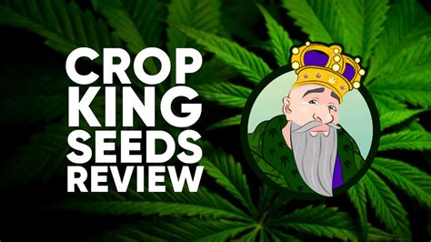 Read This Crop King Seeds Review Before You Buy Tacoma News Tribune