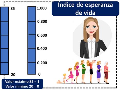 Esperanza De Vida Qué Es Definición Y Concepto