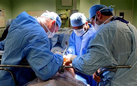 New Technique Saves Up To 70 Per Cent Of Donated Livers For Transplant