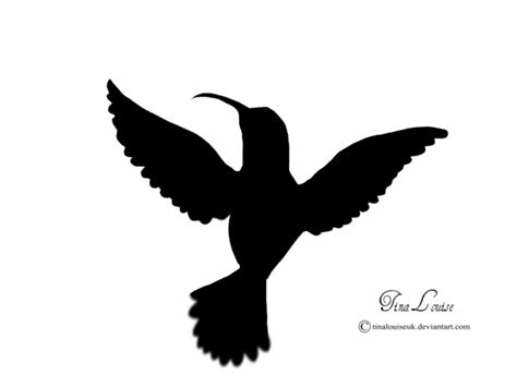 Hummingbird Silhouette Clip Art Clipart Free Download Clipart Best