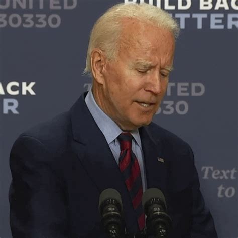 There are always more funny gifs at señor gif if that's what you need. Election 2020 Reaction GIF by Joe Biden - Find & Share on ...