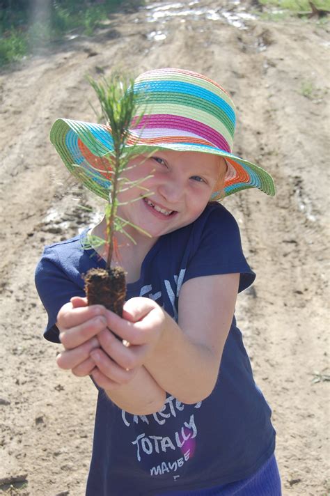 Millar Western Assists With Tree Planting Blitz Millar Western