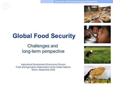 Global Food Security Challenges And Long Term Perspective
