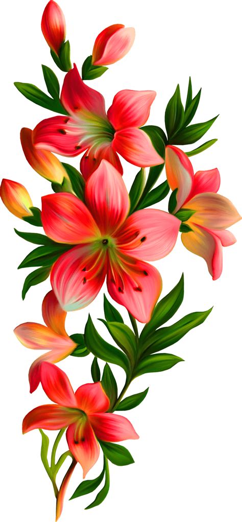 Lilly Flower Png PNG Image Collection