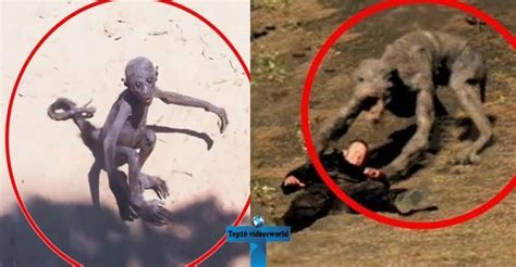 Demons caught on camera real ghost caught on camera in real life. Top 10 Mysterious & Strange Creatures Caught On Camera ...