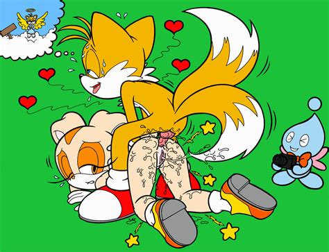 Rule 34 Anal Anal Sex Anthro Buggery Chao Sonic Cheese The Chao Color Cream The Rabbit