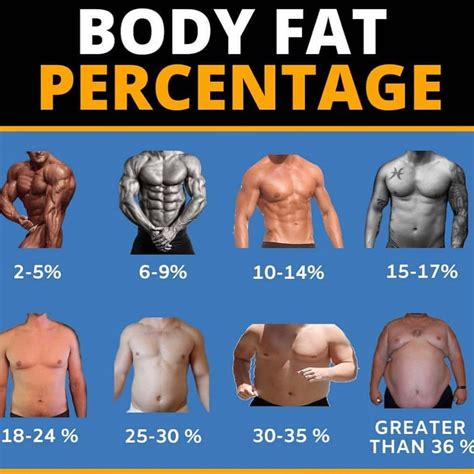 Body Fat Percentage Fat To Fit Fitness Training