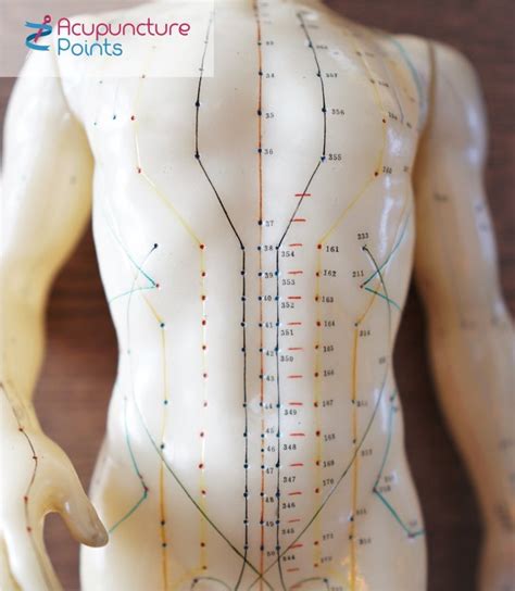 Acupuncture Meridians List Acupuncture Points