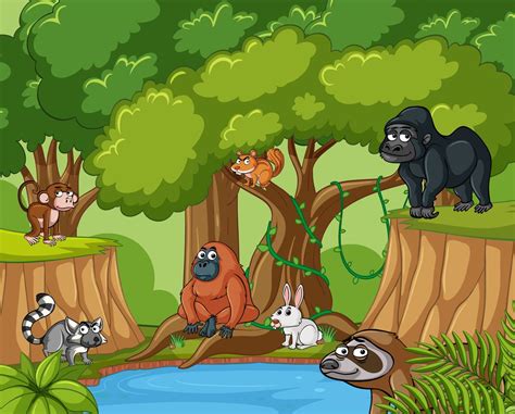 Many Wild Animals In Forest 368924 Vector Art At Vecteezy