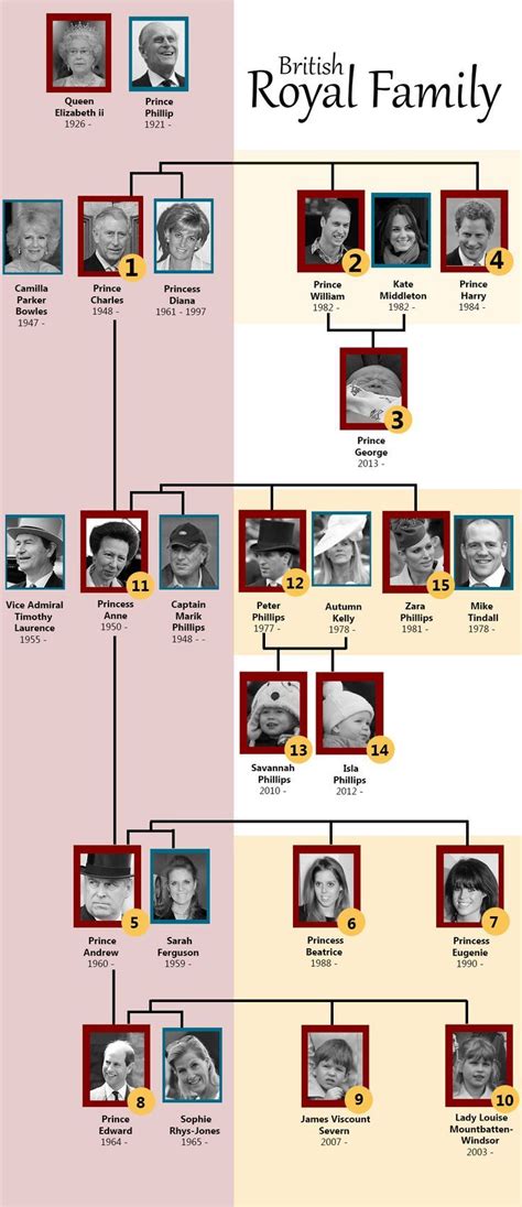 The children of the princess royal do not hold a royal title, as they are descended from the female line. British royal family tree with numbers to show the order of family members in line to the crown ...