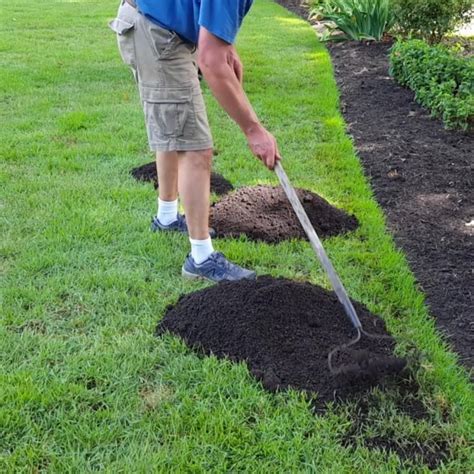 How To Repair Bare Spots In Your Lawn With The Propluggger With Video