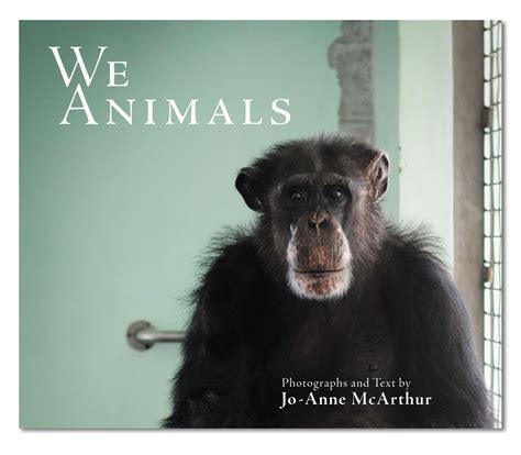 Looking Into Their Eyes Jo Anne Mcarthurs We Animals Huffpost