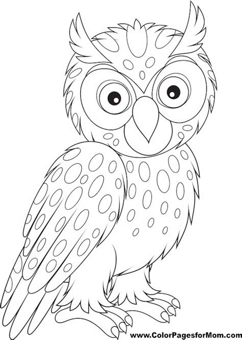 Coloring Pages Printable Owl Owl Coloring Pages For Adults Free