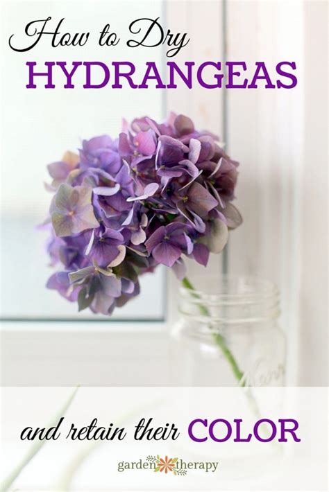 We did not find results for: The Simple Way to Dry Hydrangea Flowers and Retain Their Color
