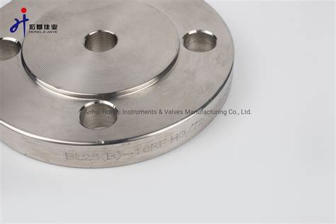 Dn25 Flange Stainless Steel Instrumentation Raised Face Flange China