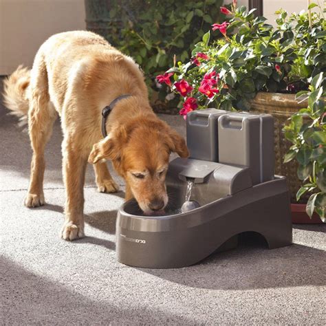 Not only is a water fountain an attractive addition to a garden or other outdoor area, but it's also a stress reducer. Drinkwell Outdoor Dog Fountain - The Green Head