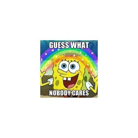 Spongebob Nobody Cares Liked On Polyvore Spongebob Best Funny Pictures Nobody Cares