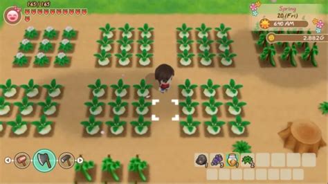 Mineral town no nakama tachi (jp). Story of Seasons Friends of Mineral Town Review on PC and Switch in 2020 - GamePlayerr