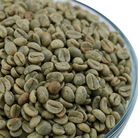 Ecuadorian Raw Green Coffee Beans Nesco