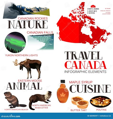 Infographic Elements For Traveling To Canada Stock Vector