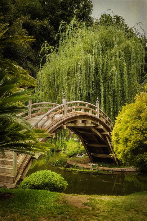 Huntington Japanese Garden No 3 Photograph By Belinda Greb Fine Art