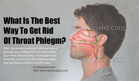 What Causes Excessive Phlegm In The Throat