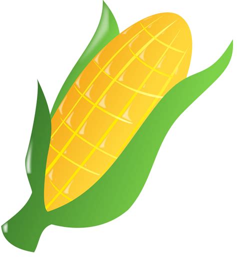 Corn Free Stock Photo Illustration Of An Ear Of Corn 17207