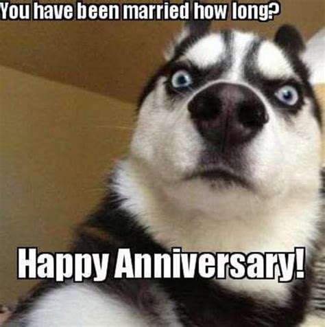 Memorable And Funny Anniversary Memes Sayingimages Com Happy
