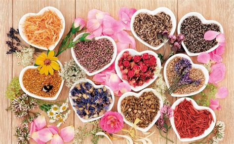 9 Of The Best Libido Boosting Herbs Natural Health