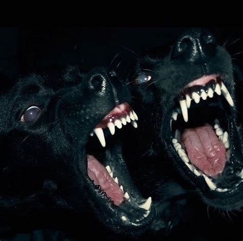 Pin By Lexilynn On 001 In 2020 Dark Grunge Dark Aesthetic Dog Teeth