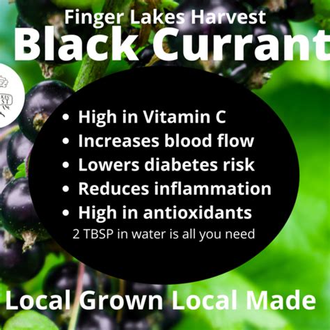 Black Currant Shrub Finger Lakes Harvest