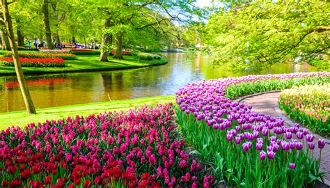 Keukenhof: o jardim de tulipas mais bonito da Holanda - Vou na