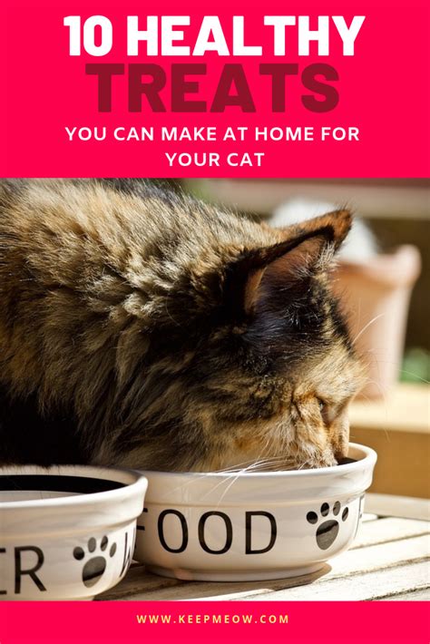 Their bodies convert protein into glucose energy. 10 healthy cat treats recipes you can make at home for ...