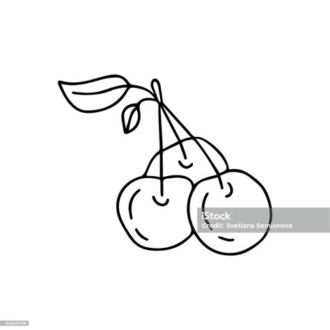 Hand Drawn Vector Illustration Cherry Stock Illustration Download Image Now Berry Cherry