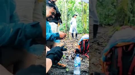 Pertama Kali Naik Gunung Gede Pangrango 4 YouTube