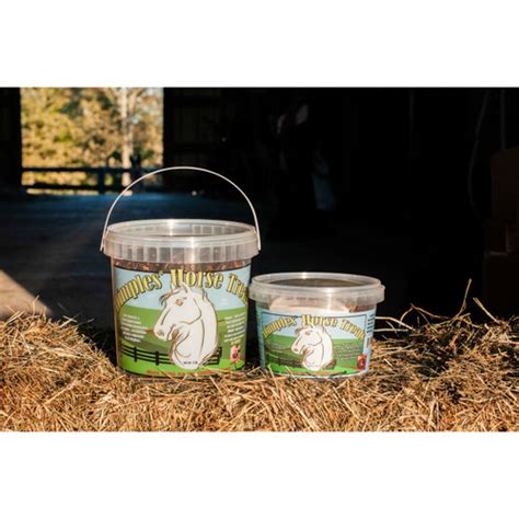 Dimples Horse Treats Products Equus Now
