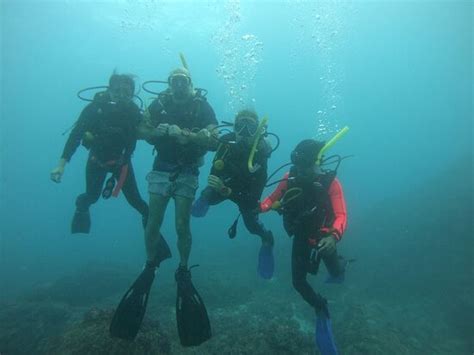 Bali Diving Academy Lembongan Nusa Lembongan All You Need To Know