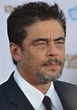 Benicio del Toro presidirá uno de los jurados del Festival de Cannes