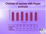 Day 6 Frozen Embryo Transfer Success Rates